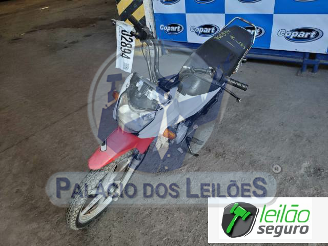 LOTE 013 POP 110I